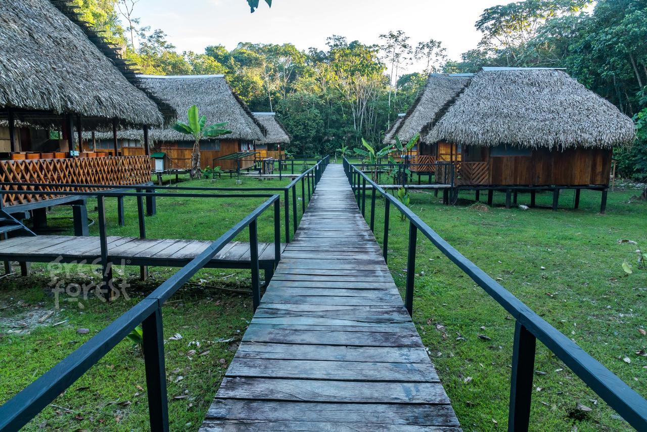Green Forest Ecolodge Пуэрто-Монтуфар Экстерьер фото